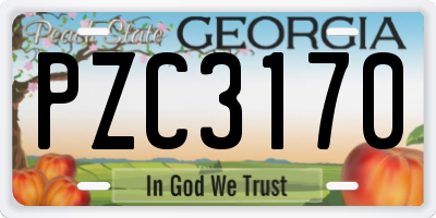 GA license plate PZC3170