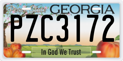 GA license plate PZC3172