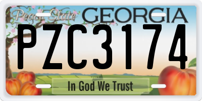 GA license plate PZC3174