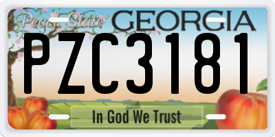GA license plate PZC3181