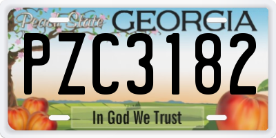 GA license plate PZC3182