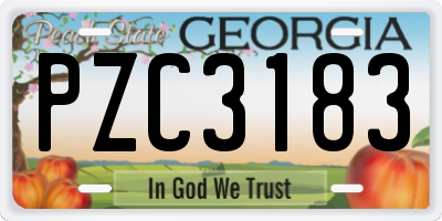 GA license plate PZC3183