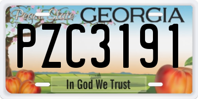 GA license plate PZC3191