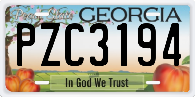 GA license plate PZC3194