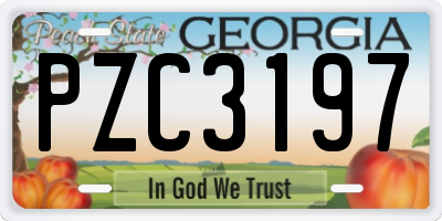GA license plate PZC3197