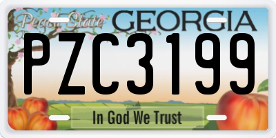 GA license plate PZC3199