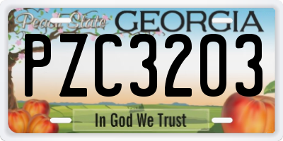 GA license plate PZC3203
