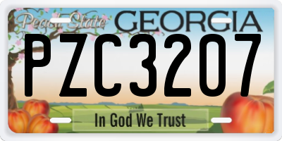 GA license plate PZC3207