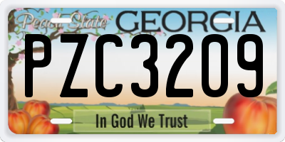 GA license plate PZC3209