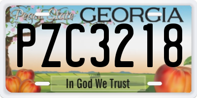 GA license plate PZC3218