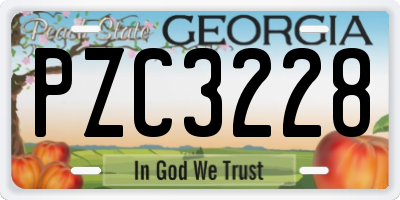 GA license plate PZC3228