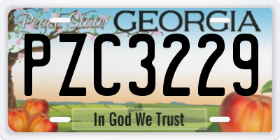 GA license plate PZC3229