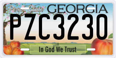 GA license plate PZC3230