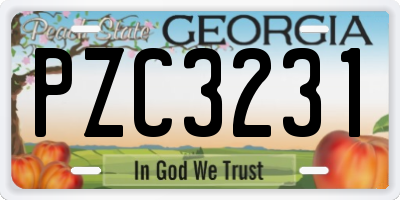 GA license plate PZC3231