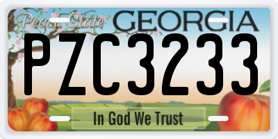 GA license plate PZC3233