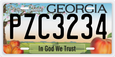 GA license plate PZC3234
