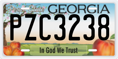 GA license plate PZC3238
