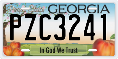 GA license plate PZC3241