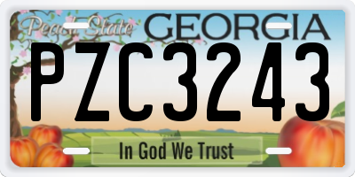 GA license plate PZC3243