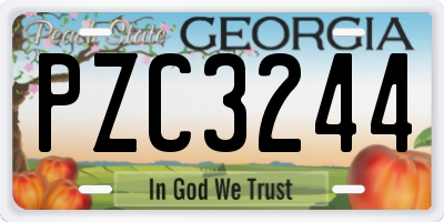 GA license plate PZC3244