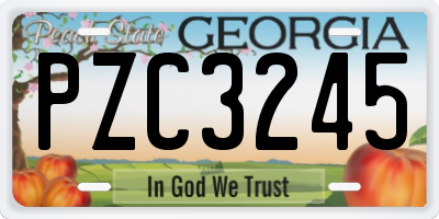 GA license plate PZC3245