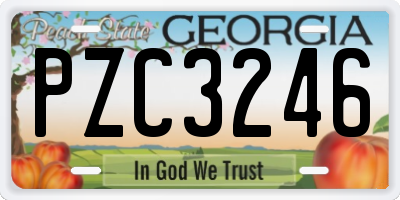 GA license plate PZC3246