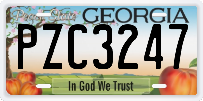 GA license plate PZC3247