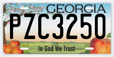 GA license plate PZC3250