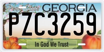 GA license plate PZC3259