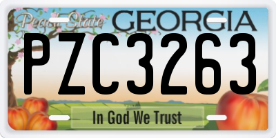 GA license plate PZC3263