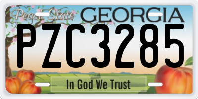 GA license plate PZC3285