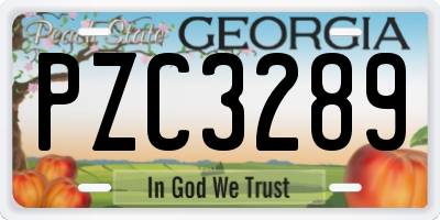 GA license plate PZC3289