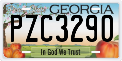 GA license plate PZC3290