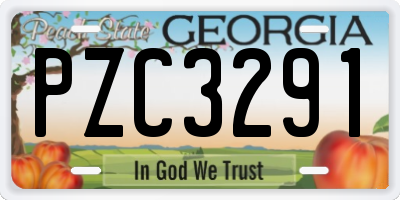 GA license plate PZC3291