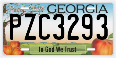 GA license plate PZC3293