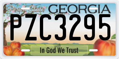 GA license plate PZC3295