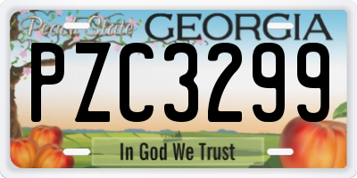 GA license plate PZC3299