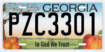 GA license plate PZC3301