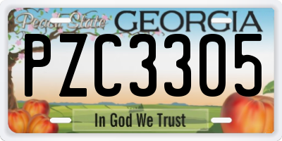 GA license plate PZC3305
