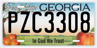 GA license plate PZC3308