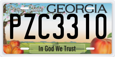 GA license plate PZC3310