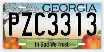 GA license plate PZC3313