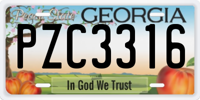 GA license plate PZC3316