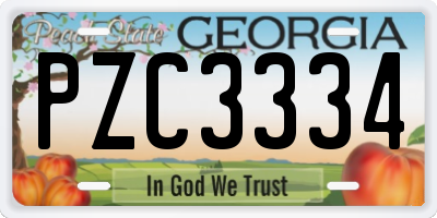 GA license plate PZC3334