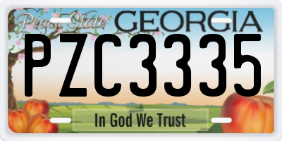 GA license plate PZC3335