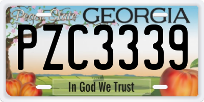 GA license plate PZC3339