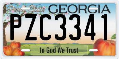 GA license plate PZC3341