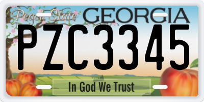 GA license plate PZC3345