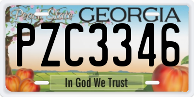 GA license plate PZC3346
