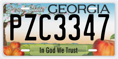 GA license plate PZC3347